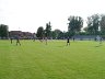 DSC03021